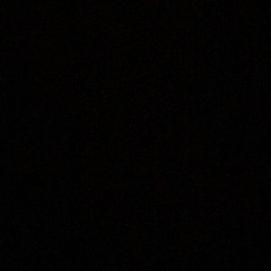 Meet your Posher, Shaunace